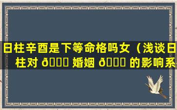 日柱辛酉是下等命格吗女（浅谈日柱对 🕊 婚姻 🕊 的影响系列之 辛酉）